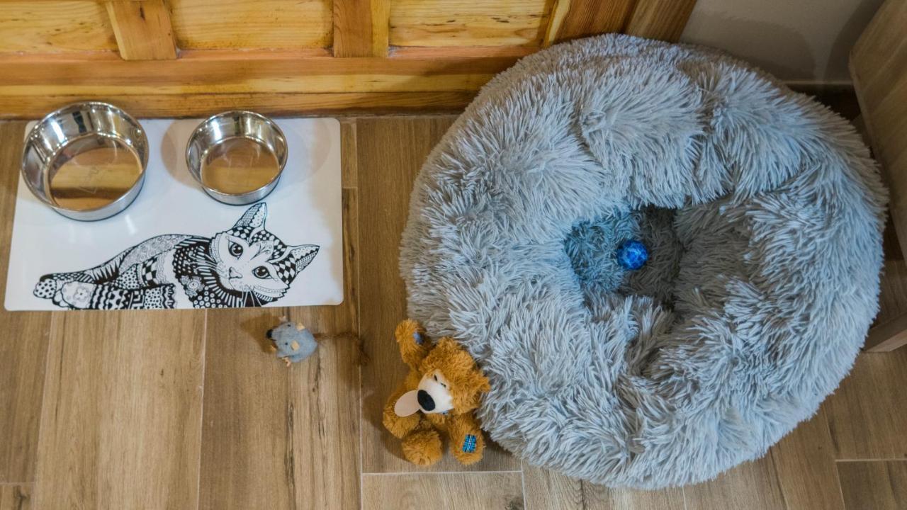 Apartamento Ruh Sara By Toledo Ap Екстер'єр фото